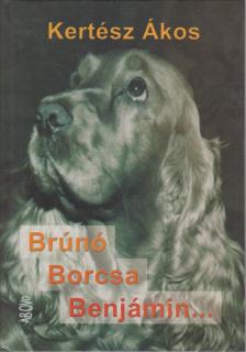 KERTÉSZ ÁKOS - Brúnó, Borcsa, Benjámin... [antikvár]