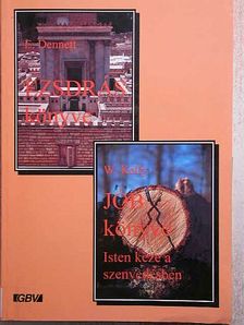 E. Dennett - Ezsdrás könyve/Jób könyve [antikvár]