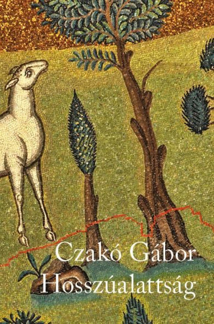Czakó Gábor - Hosszúalattság [antikvár]