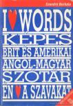 Szendro Borbála - Brit és amerikai angol-magyar módszertani tematikus képes szótár [antikvár]