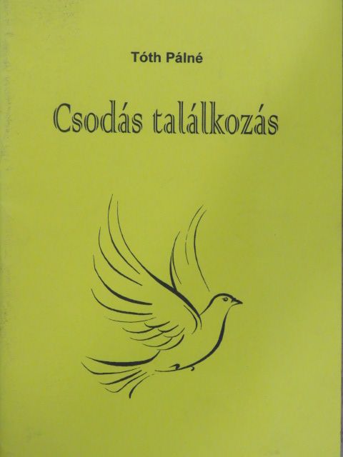 Tóth Pálné - Csodás találkozás [antikvár]