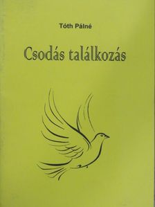 Tóth Pálné - Csodás találkozás [antikvár]