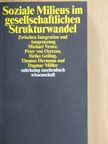 Dagmar Müller - Soziale Milieus im gesellschaftlichen Strukturwandel [antikvár]