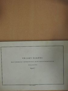 Vecsey Ferenc - Vecsey Ferenc magyarországi jótékonycélú hangversenykörútjának emlékére 1927 [antikvár]
