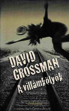 David Grossman - A villámkölyök [antikvár]