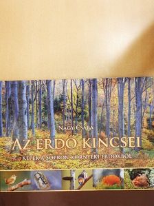 Nagy Csaba - Az erdő kincsei [antikvár]