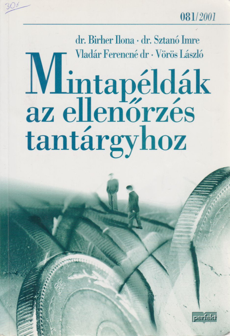 Birher Ilona Dr., Sztanó Imre Dr., Vladár Ferencné, Vörös László - Mintapéldák az ellenőrzés tantárgyhoz [antikvár]