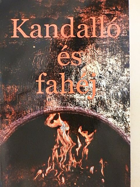 Bereck Imola - Kandalló és fahéj [antikvár]