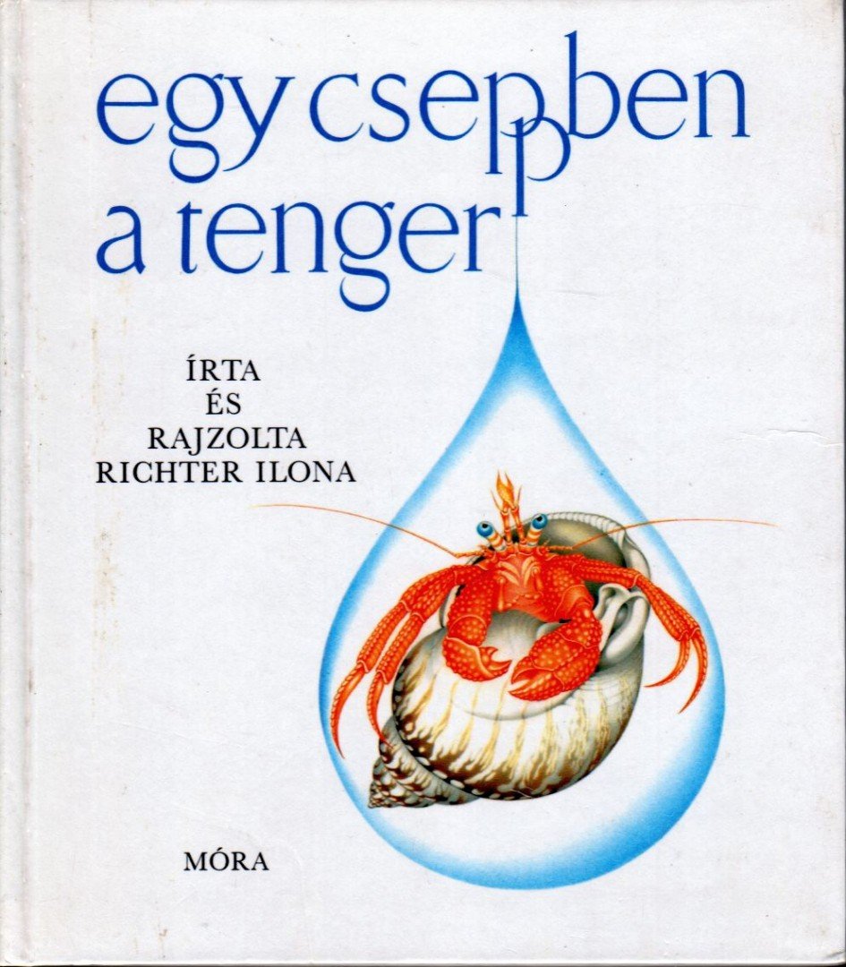 Richter Ilona - Egy cseppben a tenger [antikvár]