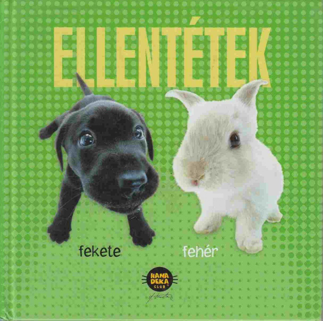 Yoneo Morita - Ellentétek [antikvár]