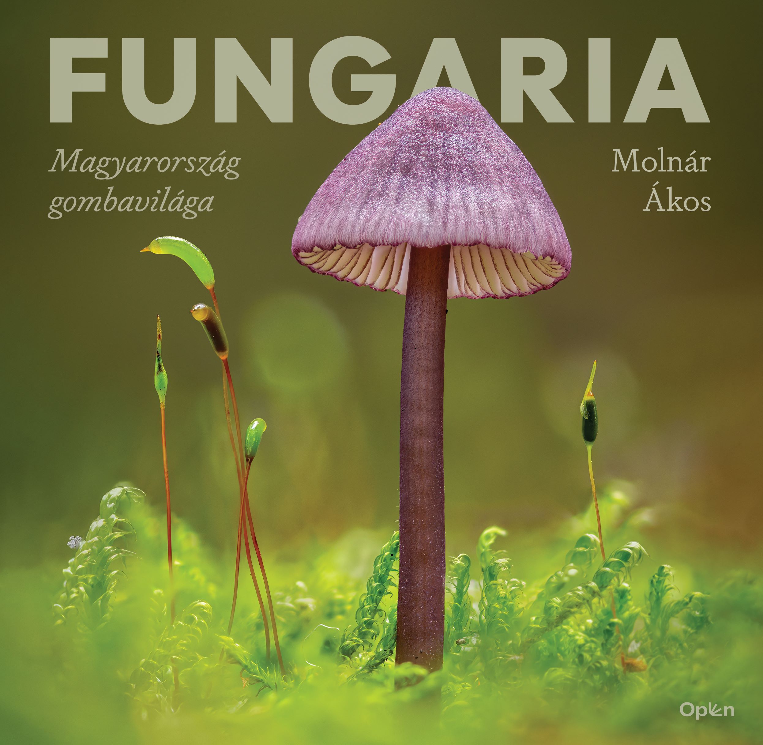 Molnár Ákos - Fungaria