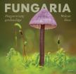Molnár Ákos - Fungaria