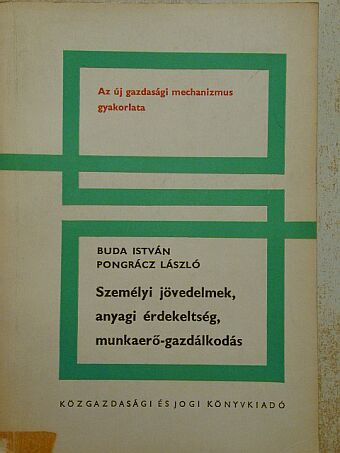 Buda István - Személyi jövedelmek, anyagi érdekeltség, munkaerő-gazdálkodás [antikvár]