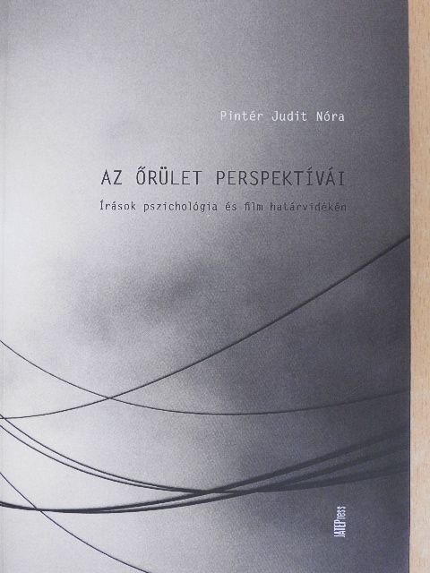 Pintér Judit Nóra - Az őrület perspektívái [antikvár]
