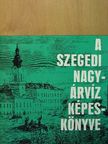 Tóth Béla - A szegedi nagyárvíz képeskönyve [antikvár]