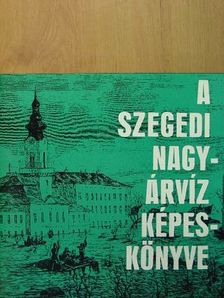 Tóth Béla - A szegedi nagyárvíz képeskönyve [antikvár]