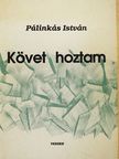 Pálinkás István - Követ hoztam [antikvár]
