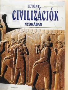 Desideria Viola - Letűnt civilizációk nyomában [antikvár]