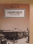 Hlavacska Edit - Salgótarján utcanevei [antikvár]