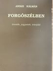 Aniszi Kálmán - Forgószélben [antikvár]