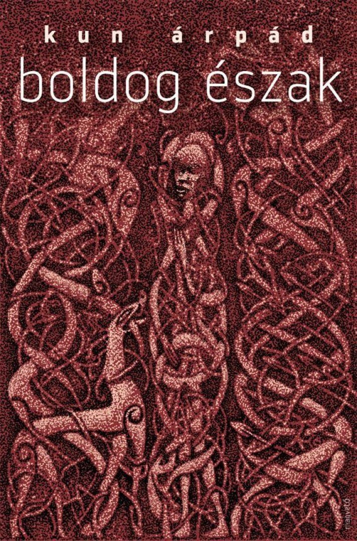 Kun Árpád - Boldog Észak [antikvár]