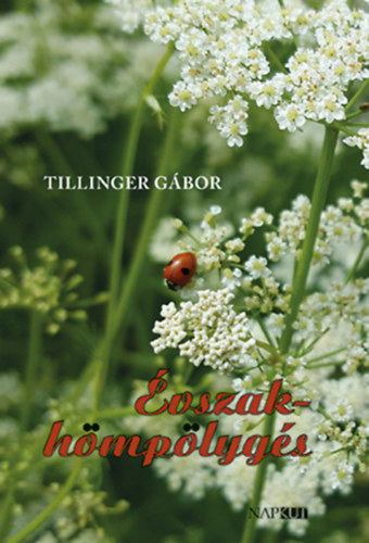 Tillinger Gábor - Évszakhömpölygés [antikvár]