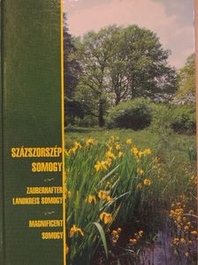 Ábrahám Levente - Százszorszép Somogy [antikvár]