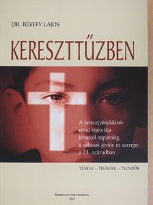 Dr. Békefy Lajos - Kereszttűzben [antikvár]
