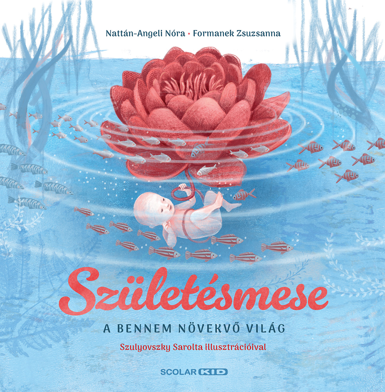 Nattán-Angeli Nóra-Formanek Zsuzsanna - Születésmese