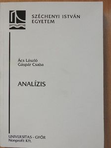 Ács László - Analízis [antikvár]