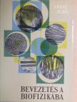 Ernst Jenő - Bevezetés a biofizikába [antikvár]