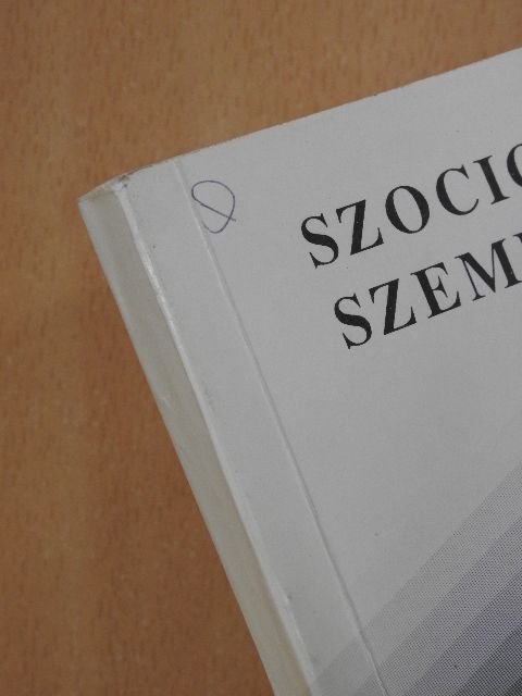 Blaskó Zsuzsa - Szociológiai szemle 1998/3. [antikvár]