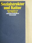 Bernhard Giesen - Sozialstruktur und Kultur [antikvár]