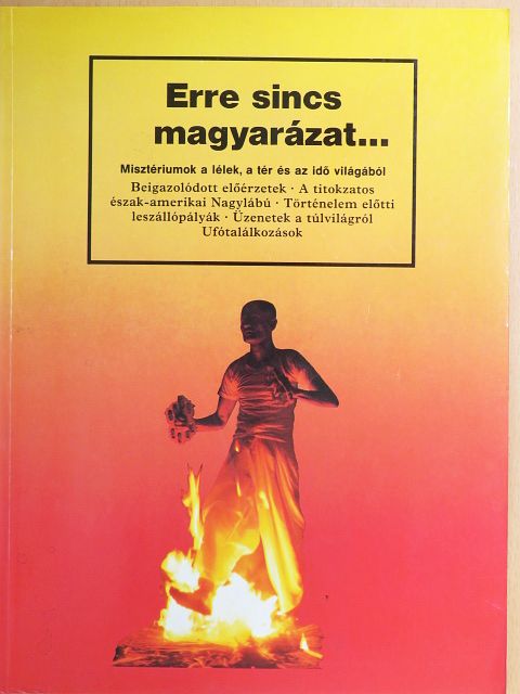 Erre sincs magyarázat... [antikvár]