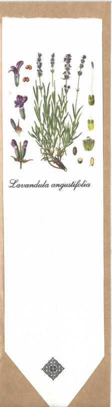 Könyvjelző - Levendula