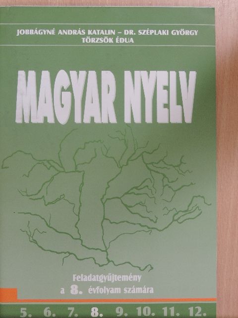 Dr. Széplaki György - Magyar nyelv 8. [antikvár]