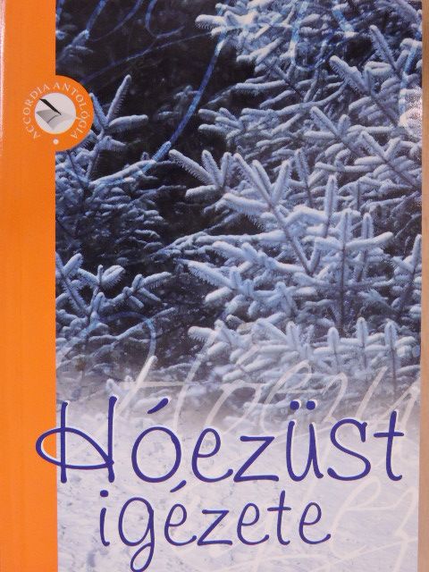 Tápai Mária - Hóezüst igézete [antikvár]