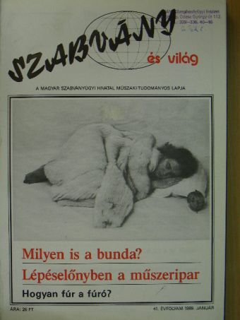 Bán Zsuzsa - Szabvány és világ 1989. január-december [antikvár]