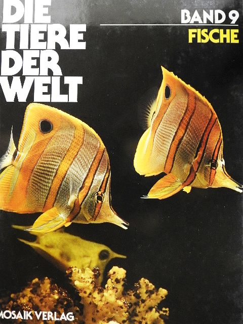 Fische [antikvár]