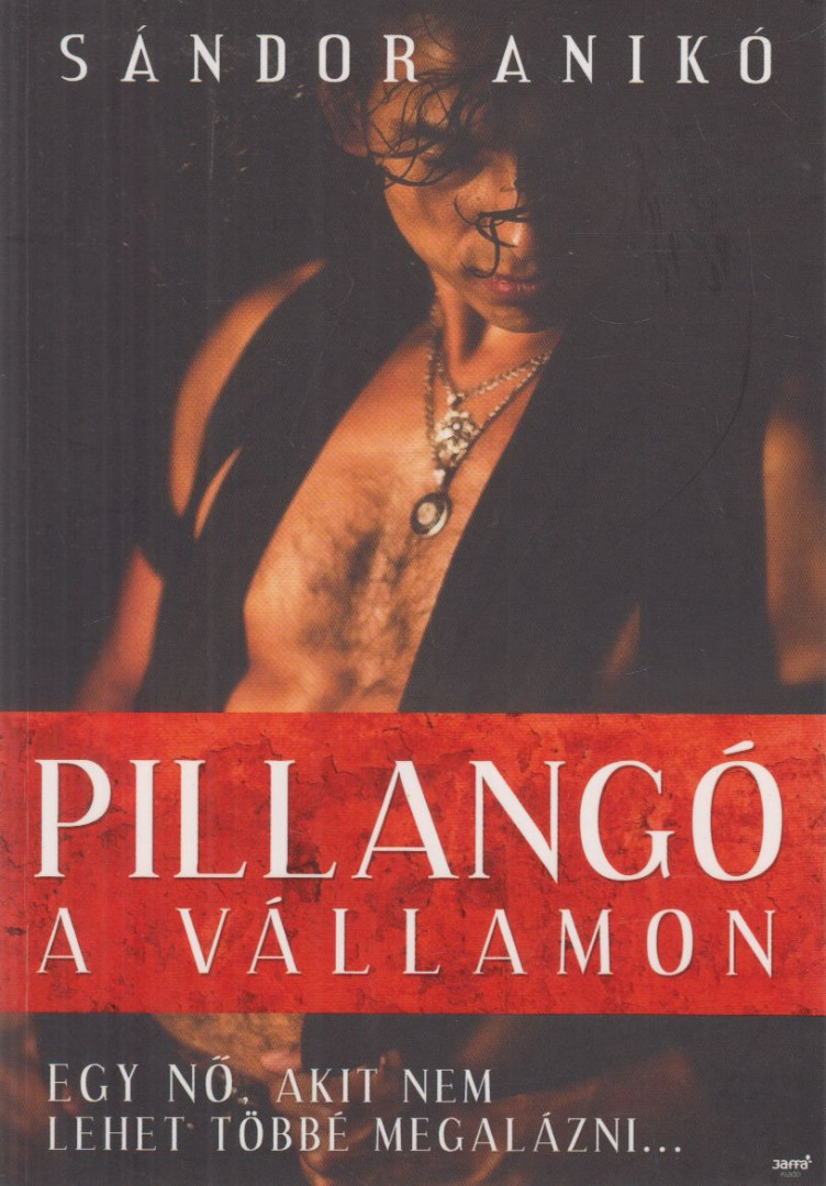 Sándor Anikó - Pillangó a vállamon [antikvár]