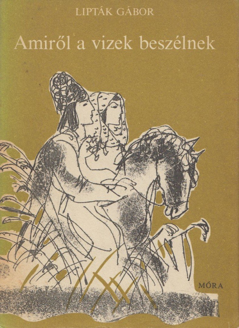Lipták Gábor - Amiről a vizek beszélnek [antikvár]