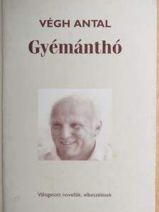 Végh Antal - Gyémánthó [antikvár]