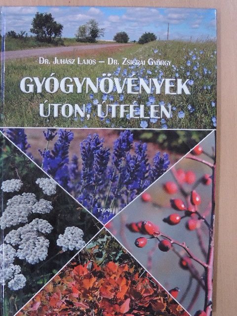 Dr. Juhász Lajos - Gyógynövények úton, útfélen [antikvár]