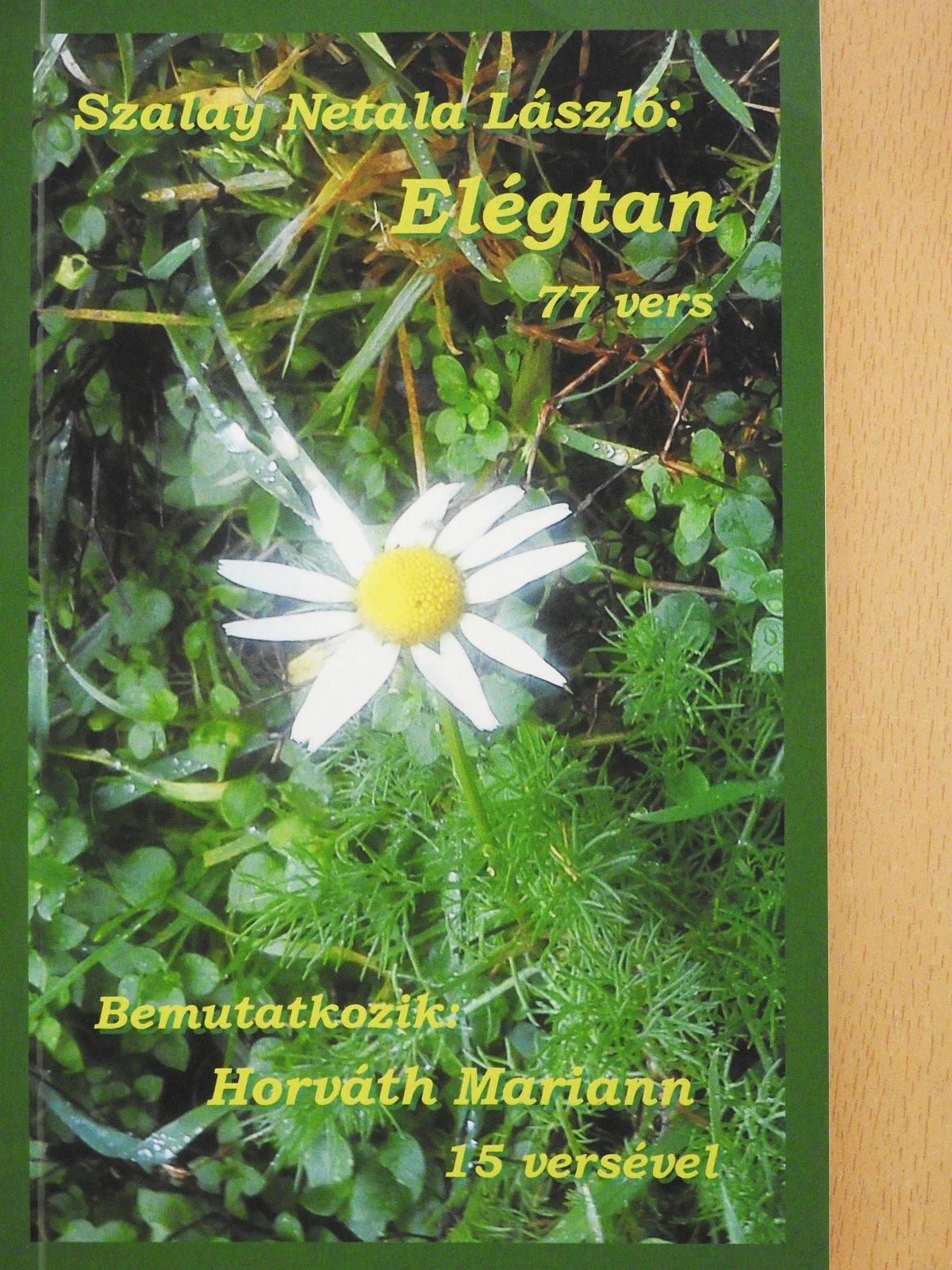 Folinek Magdolna - Elégtan (dedikált példány) [antikvár]
