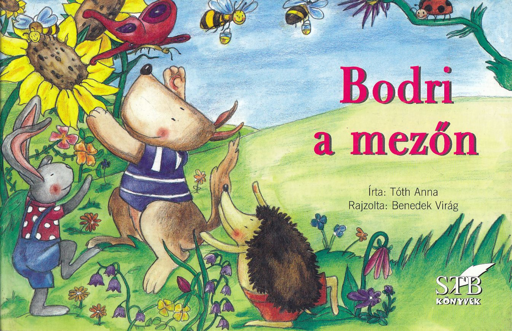 Tóth Anna - Bodri a mezőn [antikvár]
