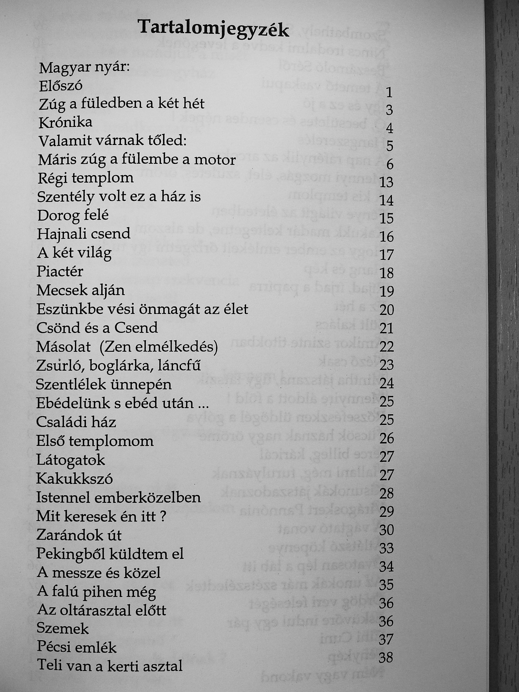 Cser László S. J. - Magyar nyár [antikvár]
