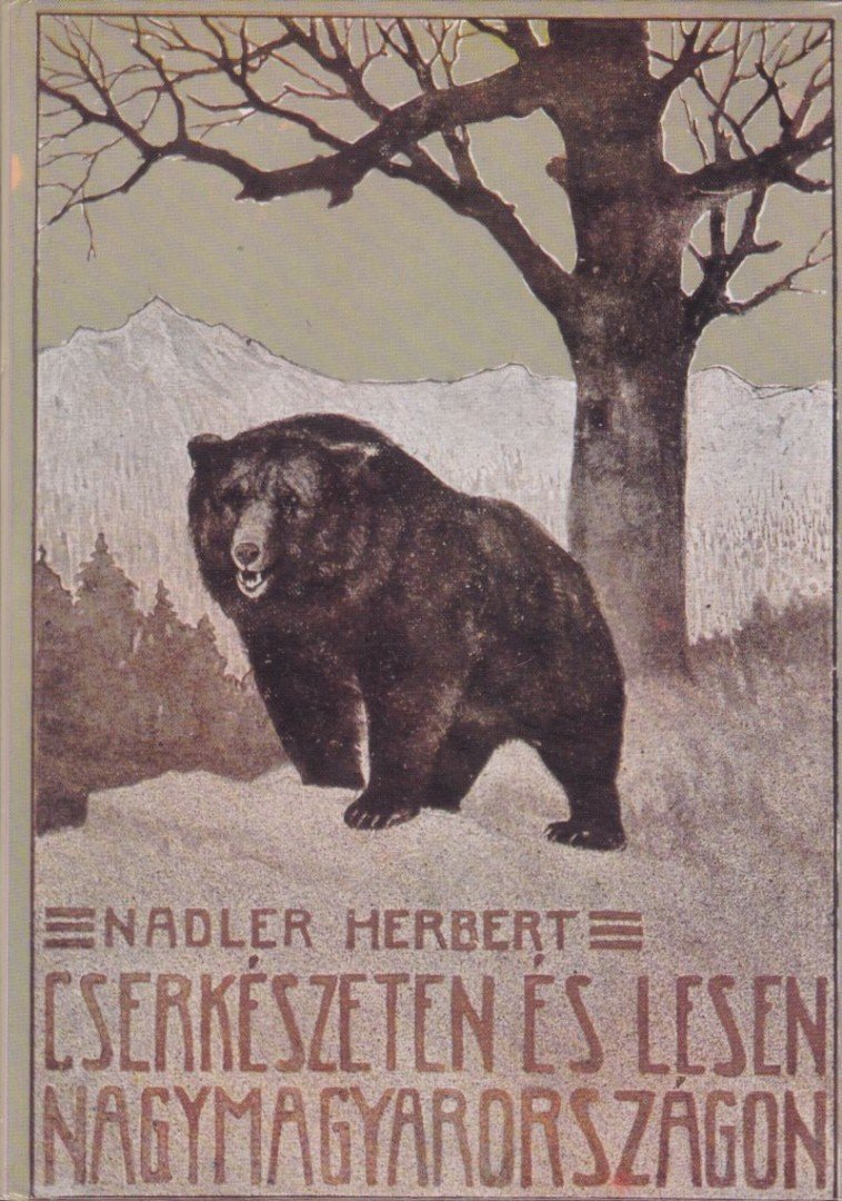 Nadler Herbert - Cserkészeten és lesen Nagymagyarországon [antikvár]