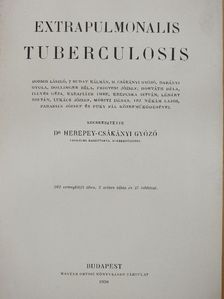 Buday Kálmán - Extrapulmonalis tuberculosis [antikvár]