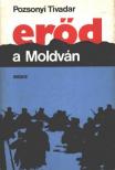 Pozsonyi Tivadar - Erőd a Moldván [antikvár]