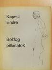 Kaposi Endre - Boldog pillanatok (dedikált példány) [antikvár]